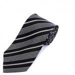 Salt Lake Striped Silk Tie
