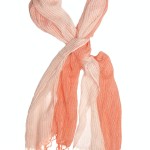 Isabelle Ombré Scarf