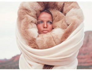 whorange winter crazy (credit: whorange.net)