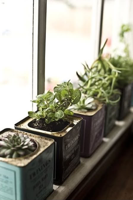 DIY herb garden