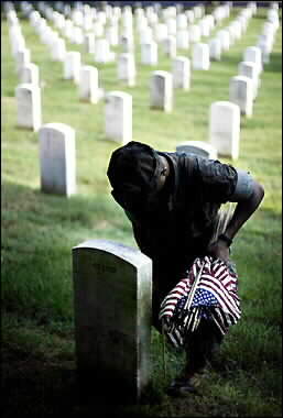 Memorial Day Remembrance Photo