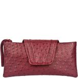 Shelly Exotic Clutch