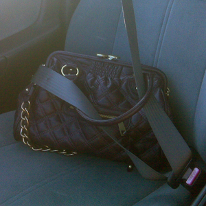 Sami Safe and Sound