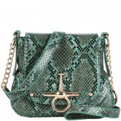 Chrissy Mini Exotic Messenger