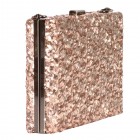 Isabella Sequin Clutch