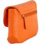 Georgia Colorblock Clutch