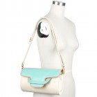 Winnie Colorblock Clutch
