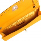 Allegra Colorblock Clutch