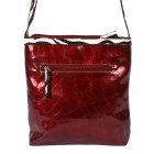 Simone Zebra Flower Crossbody Bag