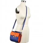 Cheryl Colorblock Bag