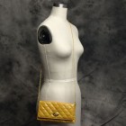 Reagan Shoulder Clutch