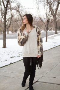 fur (1 of 1)