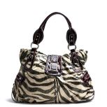 Carmela Zebra Bag