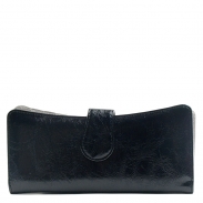 Anastasia Wallet